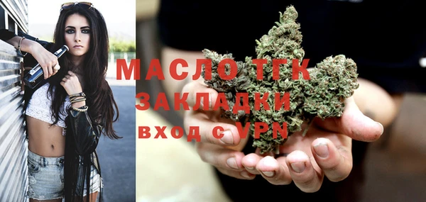 спиды Ельня