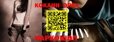 гашик Бийск