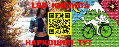 гашик Бийск