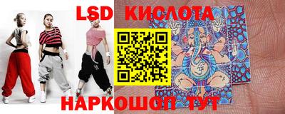 шишки Берёзовский