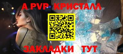 шишки Берёзовский