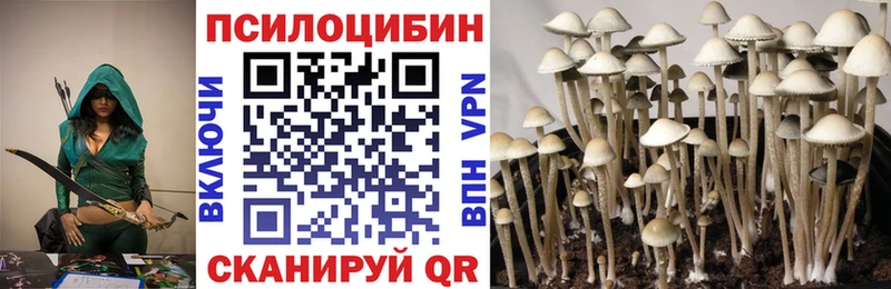 Псилоцибиновые грибы GOLDEN TEACHER  Ипатово 