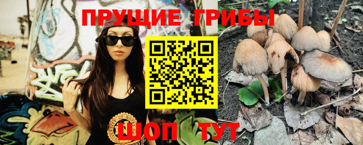 купить наркотики сайты  Вход с VPN  Псилоцибиновые грибы мухоморы  Ипатово  Галлюциногенные грибы Magic Shrooms 
